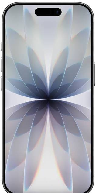 Apple iPhone 17 256GB